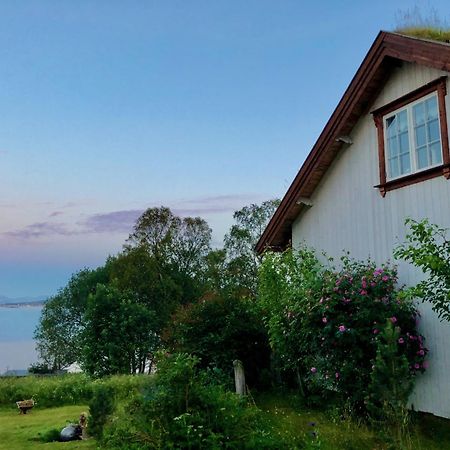 Vila House By The Sea Sortland Exteriér fotografie