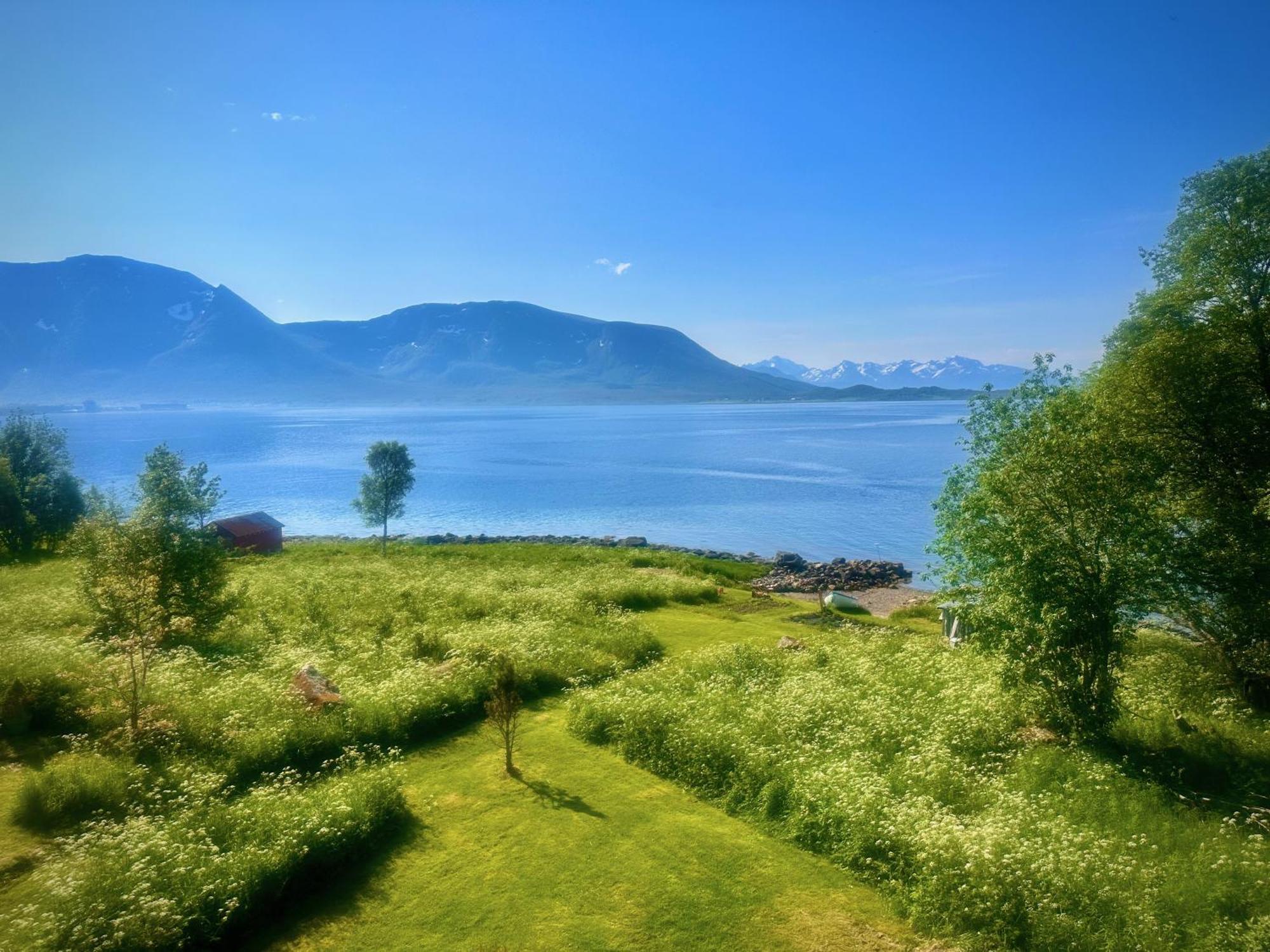 Vila House By The Sea Sortland Exteriér fotografie